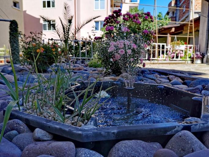 Guest House Dimovi سوزوبول المظهر الخارجي الصورة